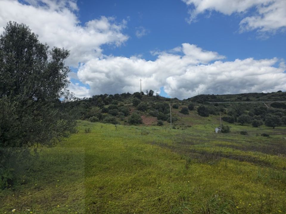 Farm i Tavira, Faro - foto 5