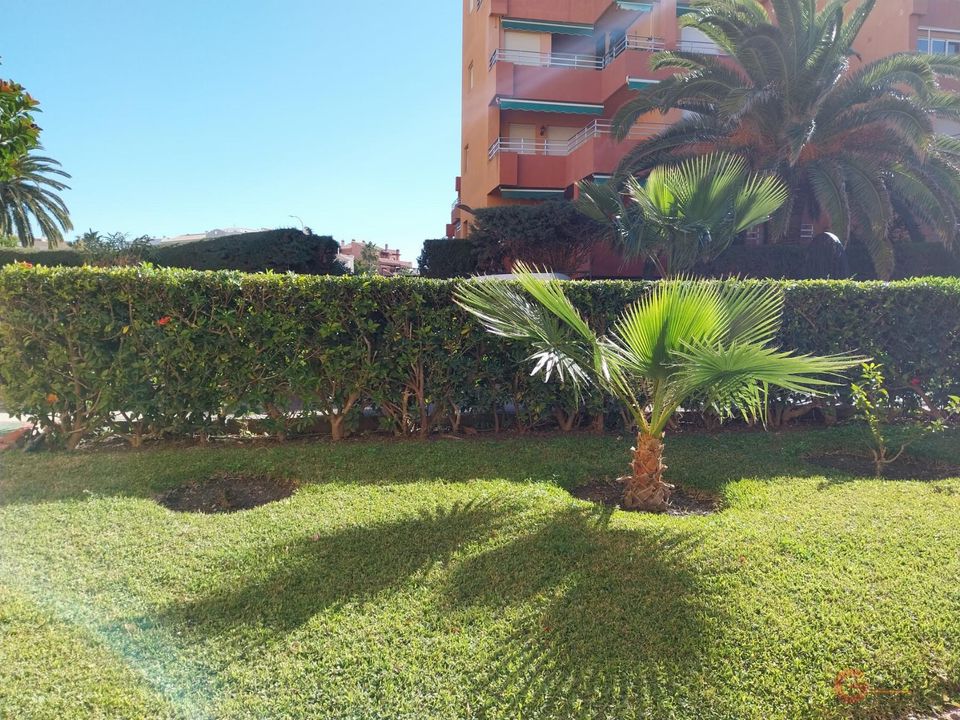 Erhvervsejendom i Salobrena, Granada - foto 2