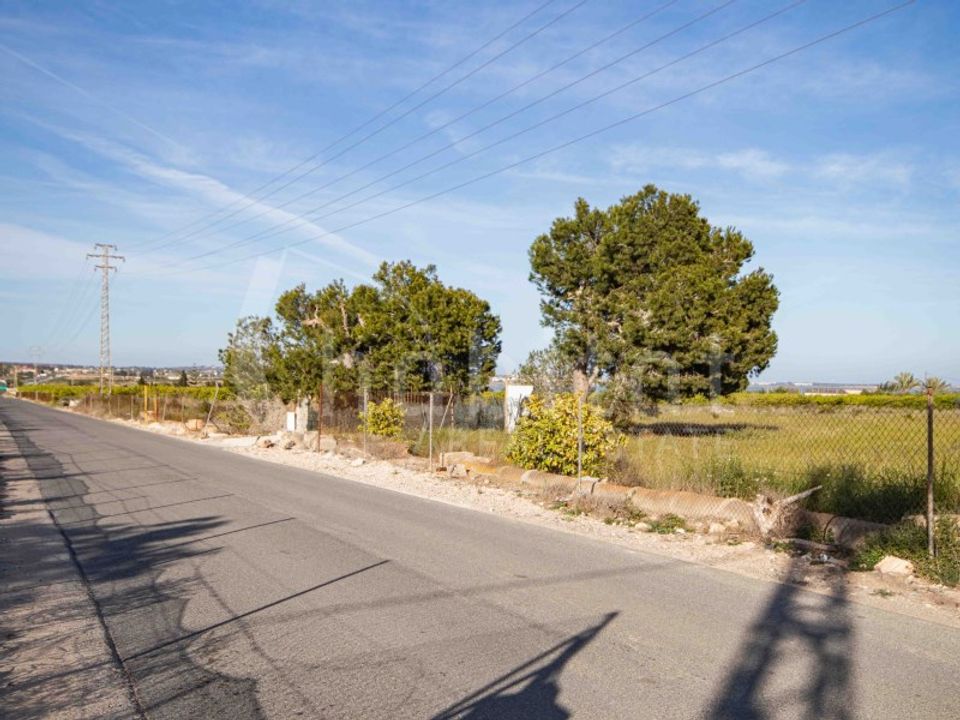 Helårsgrund i Rojales, Alicante - foto 4