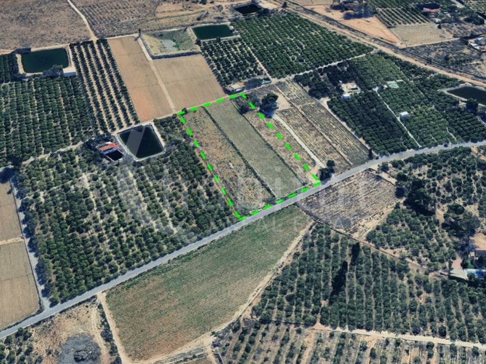 Terra em Rojales, Alicante - foto 1
