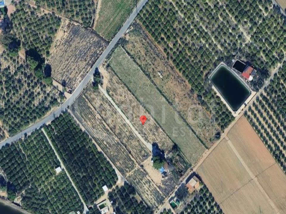 Terra em Rojales, Alicante - foto 2