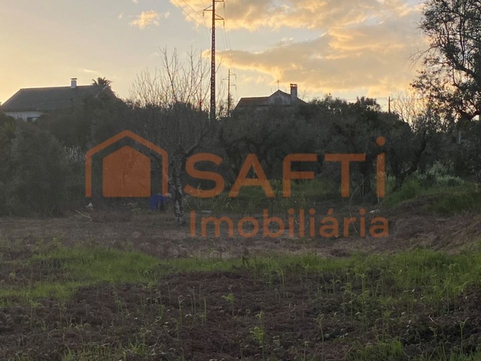 Helårsgrund i Tondela, Viseu - foto 3