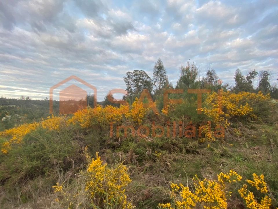 Helårsgrund i Tondela, Viseu - foto 1