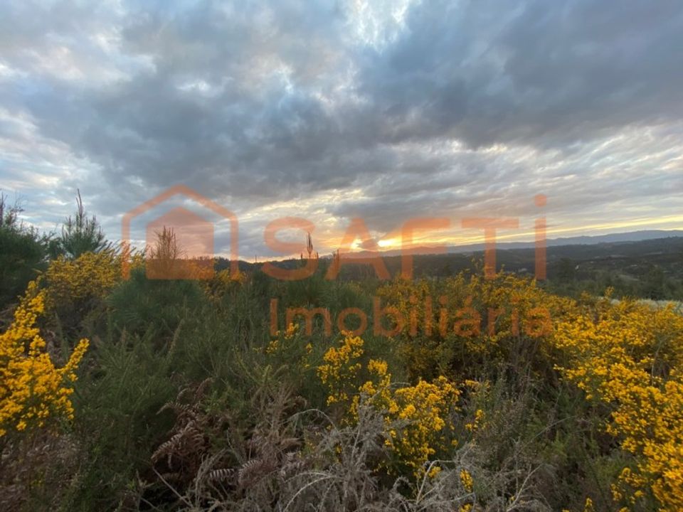 Helårsgrund i Tondela, Viseu - foto 2