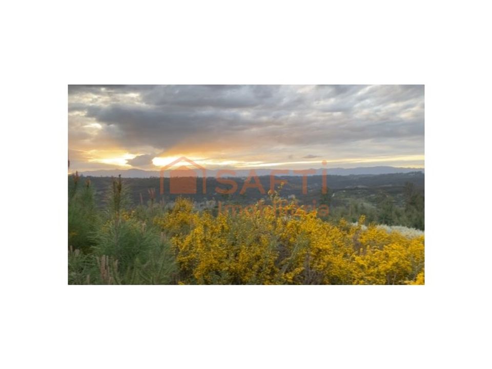 Helårsgrund i Tondela, Viseu - foto 4