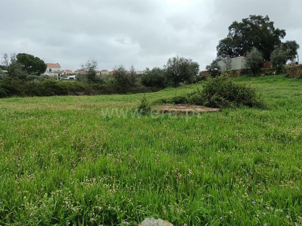 Landejendom i Castelo Branco, Castelo Branco - foto 2