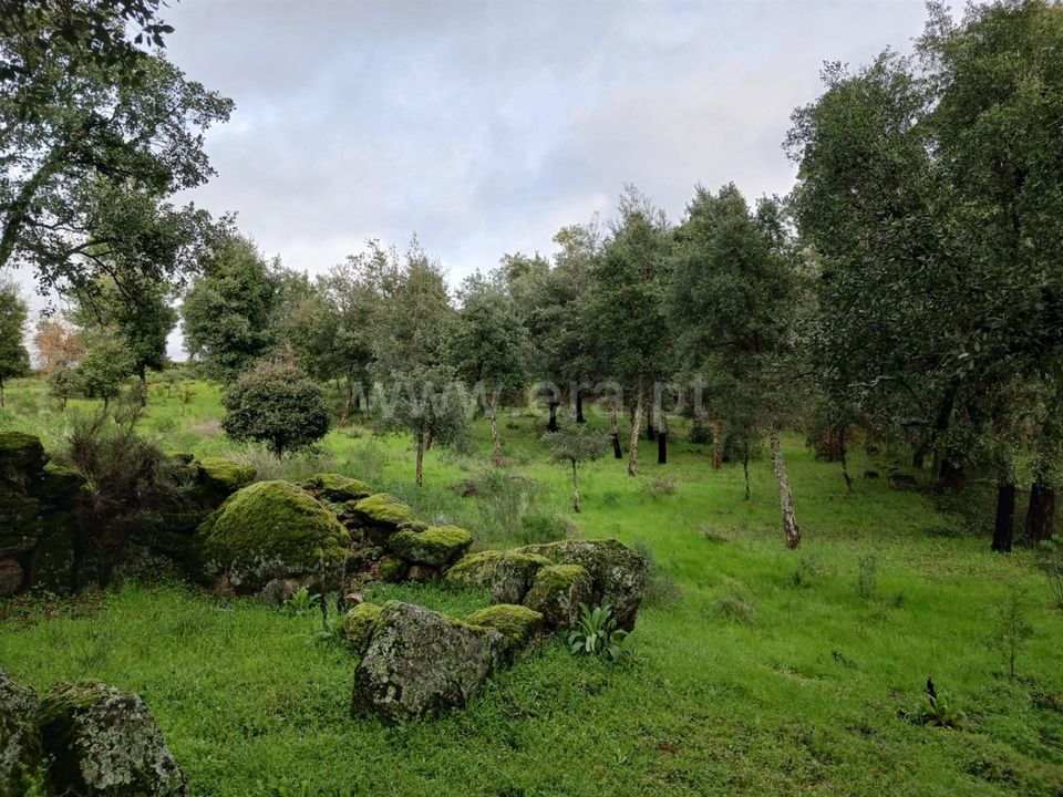 Helårsgrund i Idanha-a-Nova, Castelo Branco - foto 1
