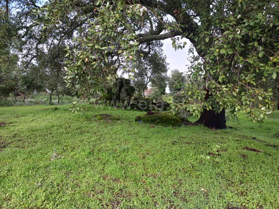 Helårsgrund i Idanha-a-Nova, Castelo Branco - foto 2