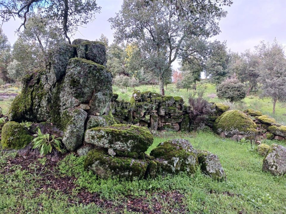 Helårsgrund i Idanha-a-Nova, Castelo Branco - foto 3