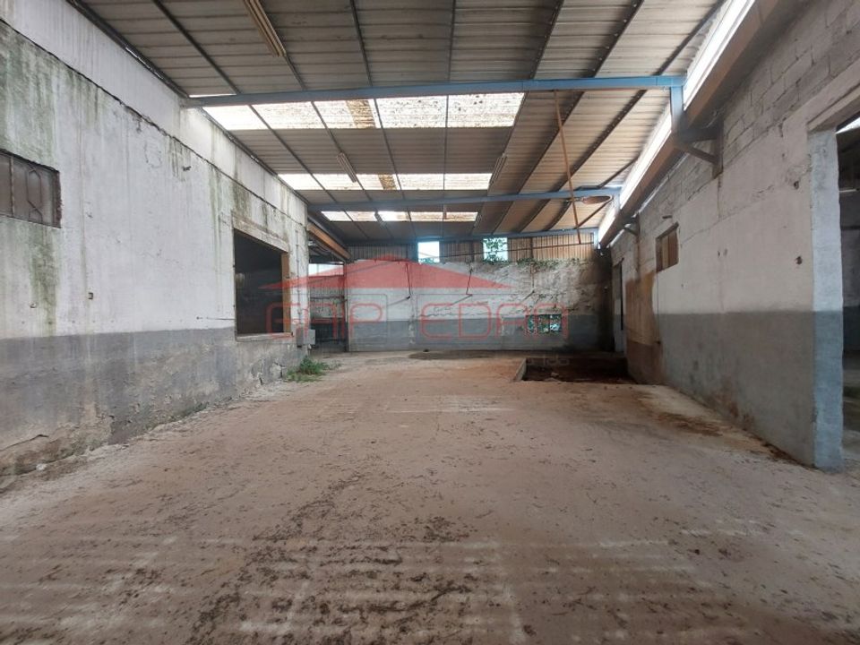Erhvervsejendom i Mangualde, Viseu - foto 5