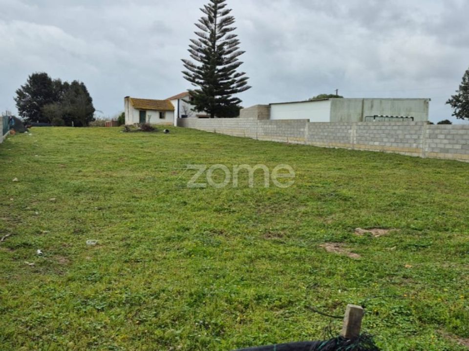 Helårsgrund i Benavente, Santarem - foto 3