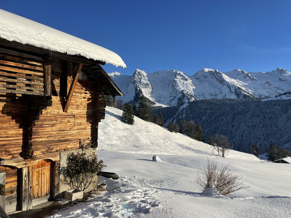Villa i Le Grand-Bornand, Haute-Savoie - foto 4