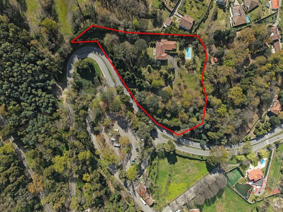 Farm i Braga, Braga - foto 3