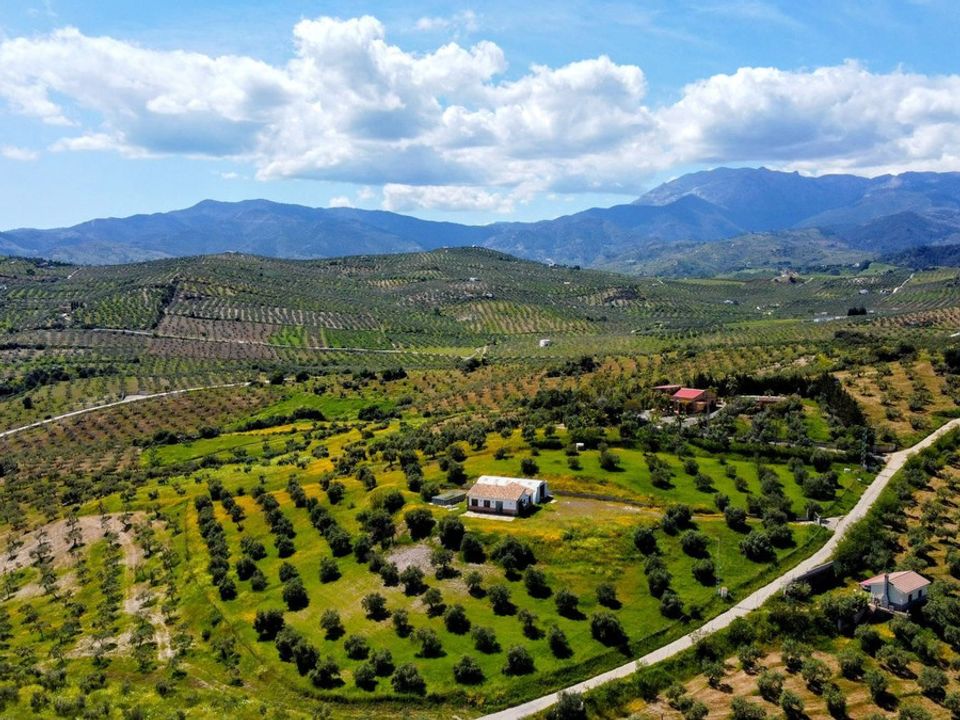 Cortijo i Alozaina, Malaga - foto 5