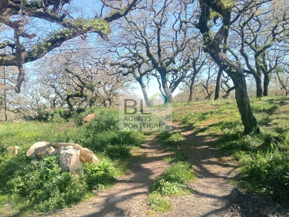Helårsgrund i Pombal, Leiria - foto 3