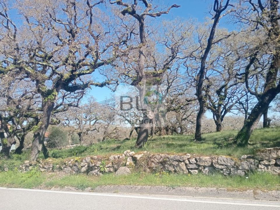 Helårsgrund i Pombal, Leiria - foto 1