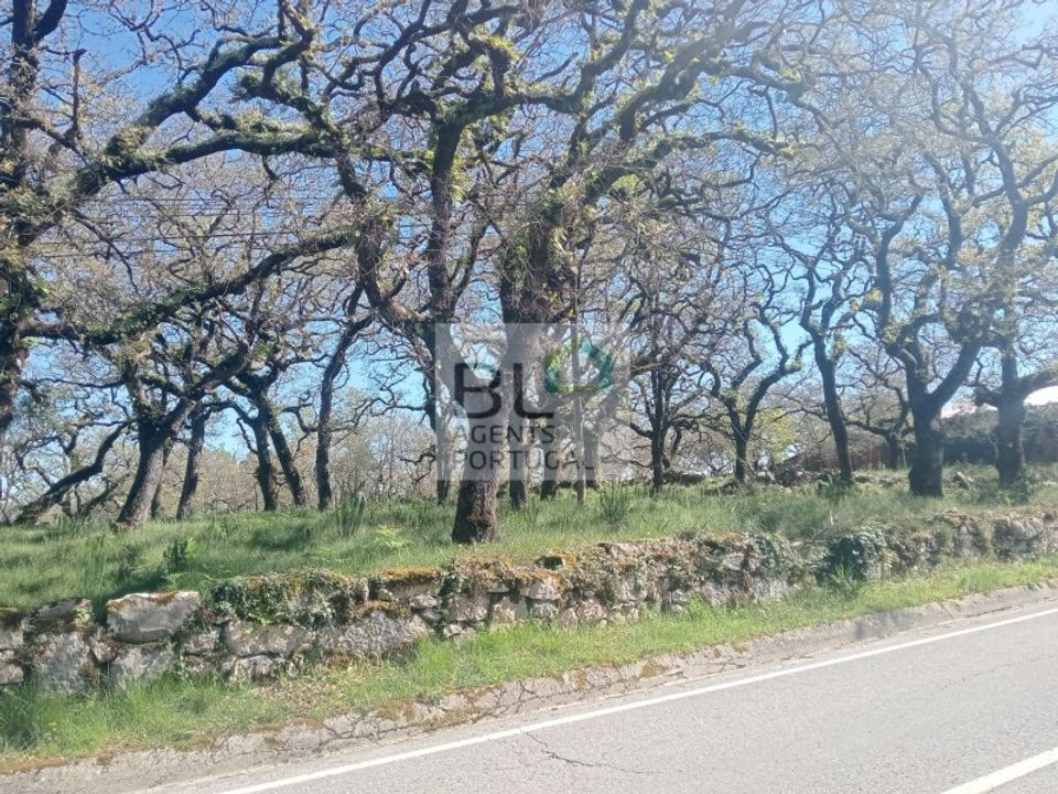 Helårsgrund i Pombal, Leiria - foto 5