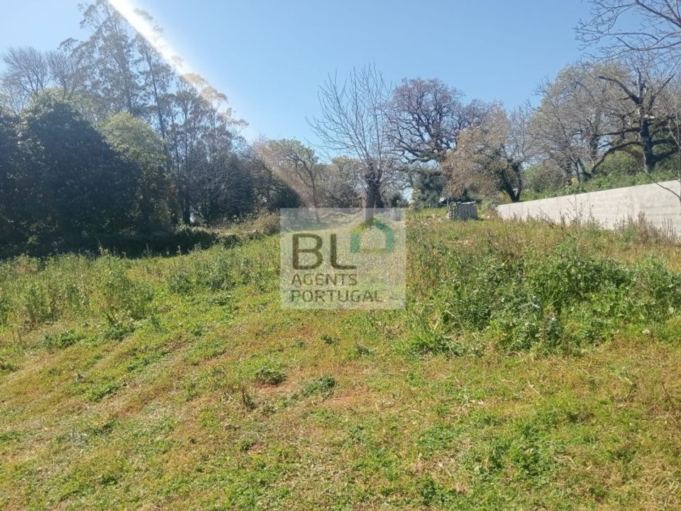 Villa i Pombal, Leiria - foto 3