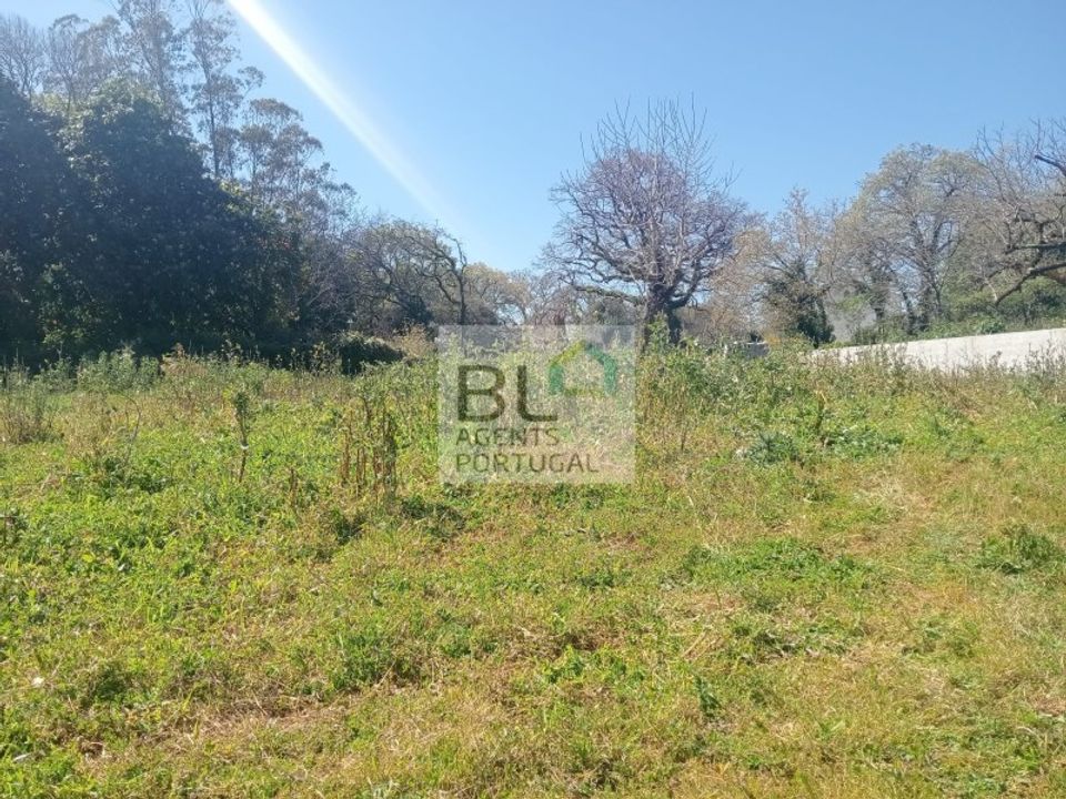 Villa i Pombal, Leiria - foto 1