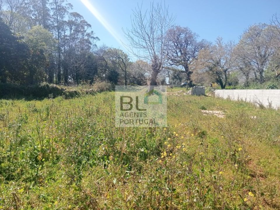 Villa i Pombal, Leiria - foto 2