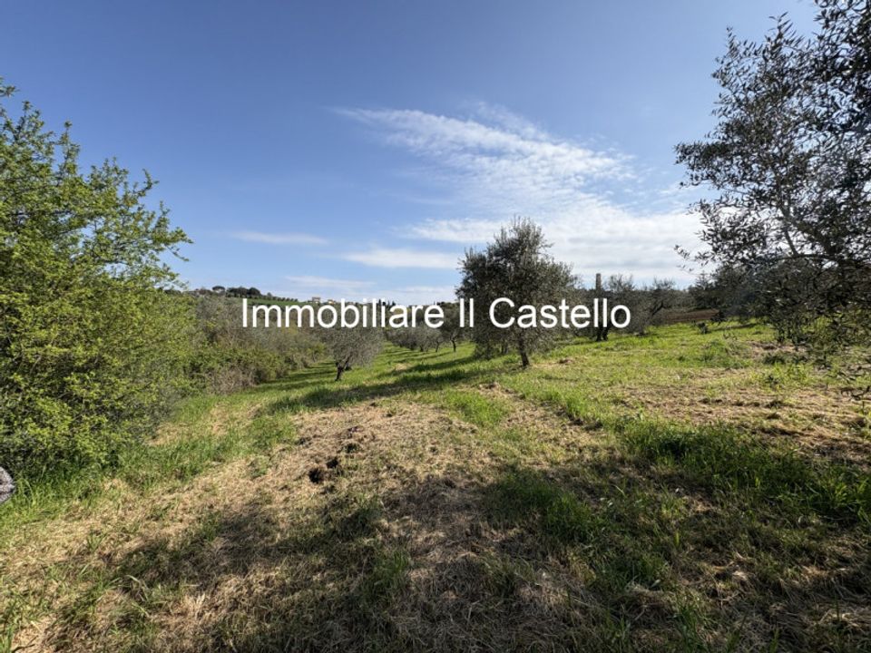 Landejendom i Castiglione del Lago, Perugia - foto 4