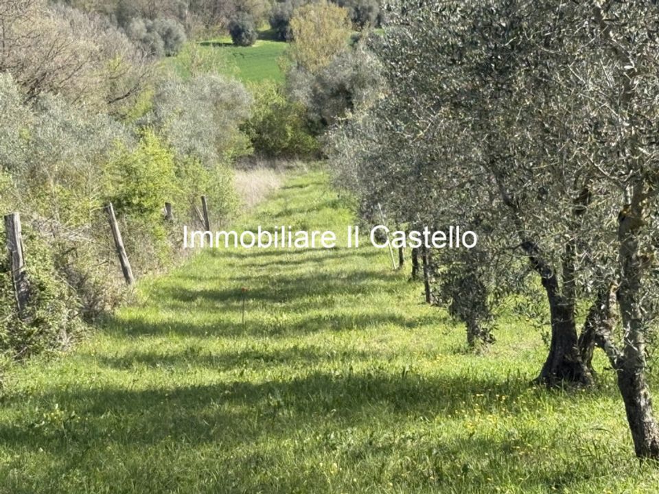 Landejendom i Castiglione del Lago, Perugia - foto 5