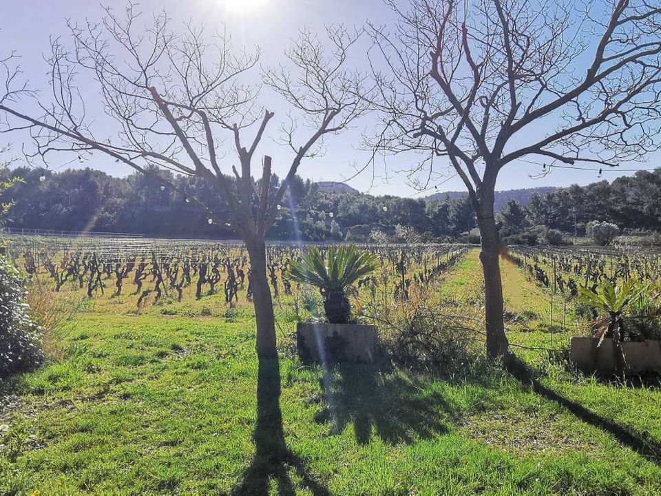 Villa en Cassis, Bouches-du-Rhone - foto 1