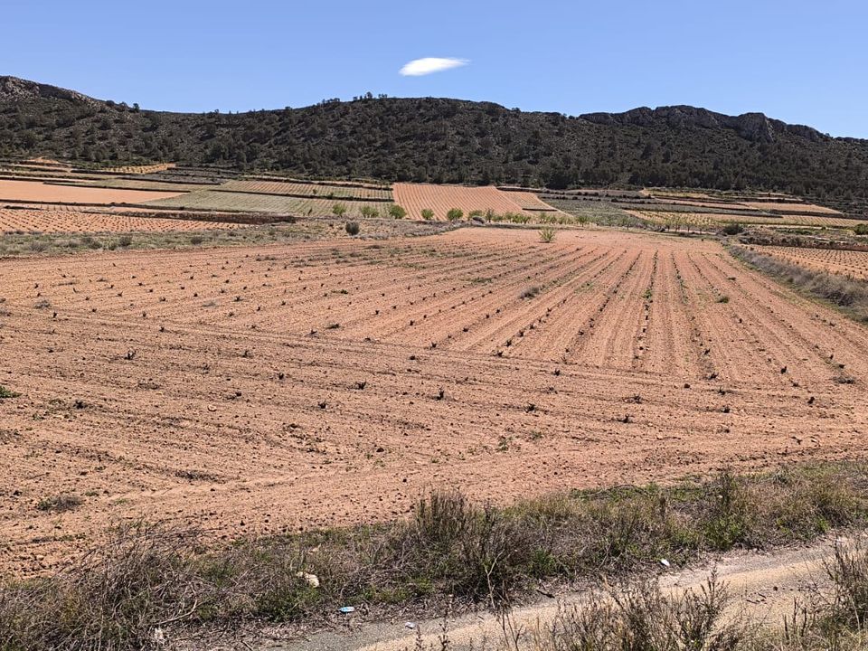 Helårsgrund i Abanilla, Murcia - foto 2