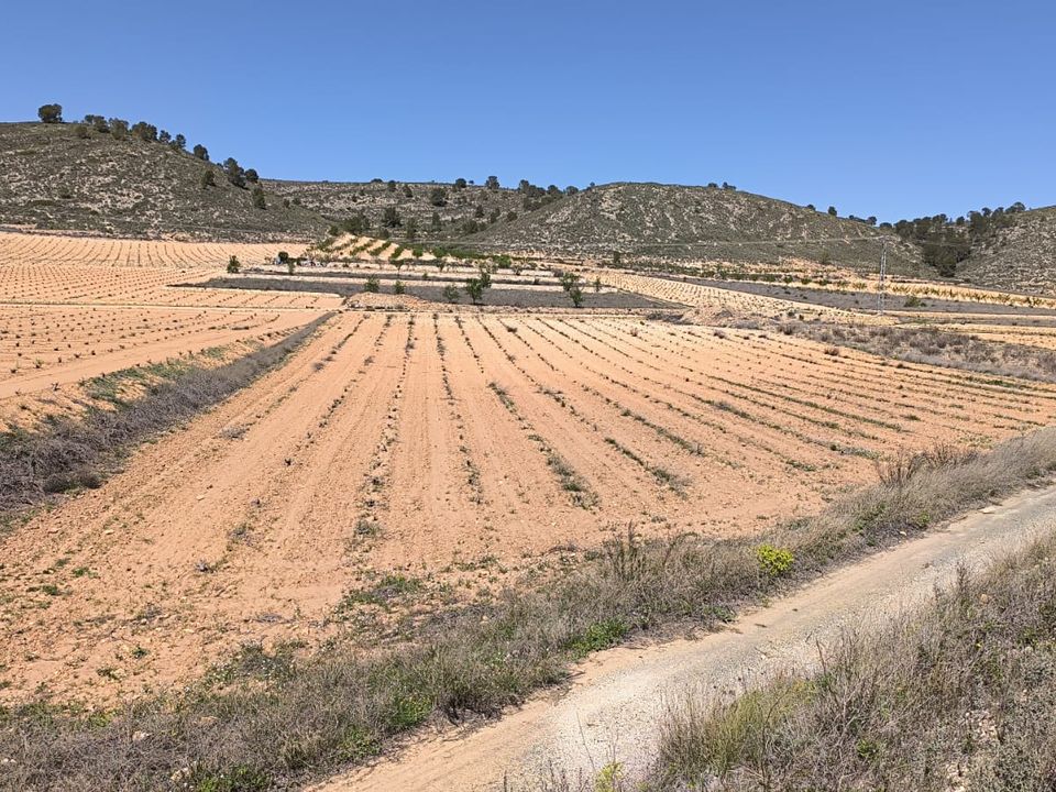 Helårsgrund i Abanilla, Murcia - foto 3