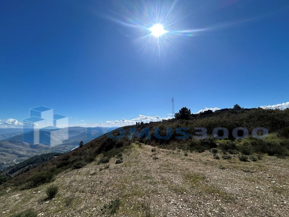 Terra a Sabrosa, Vila Real - foto 2