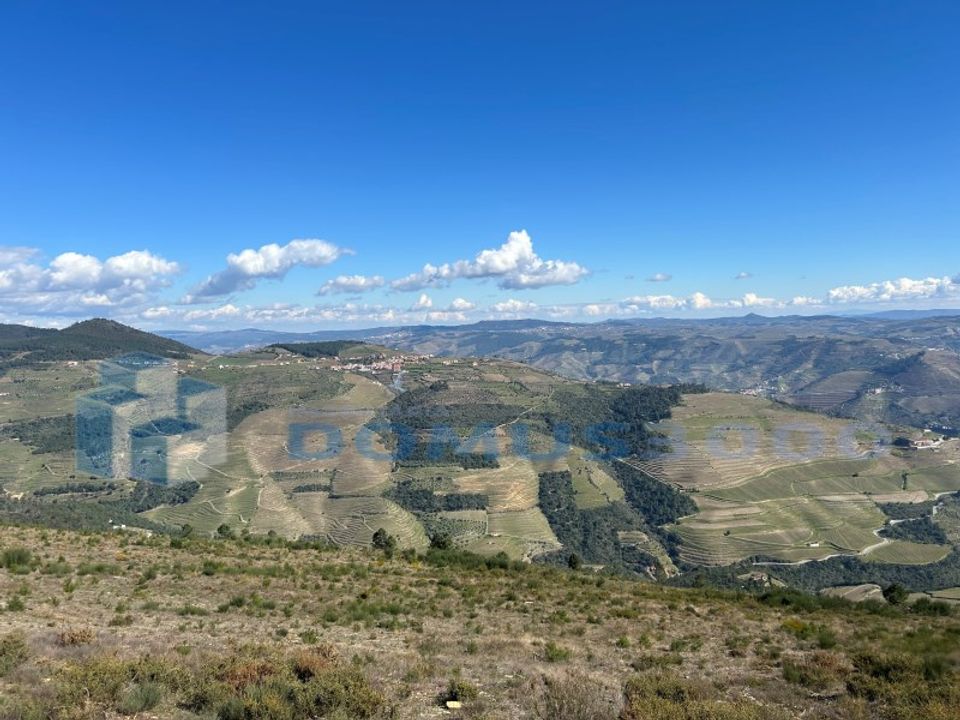 Terra a Sabrosa, Vila Real - foto 3