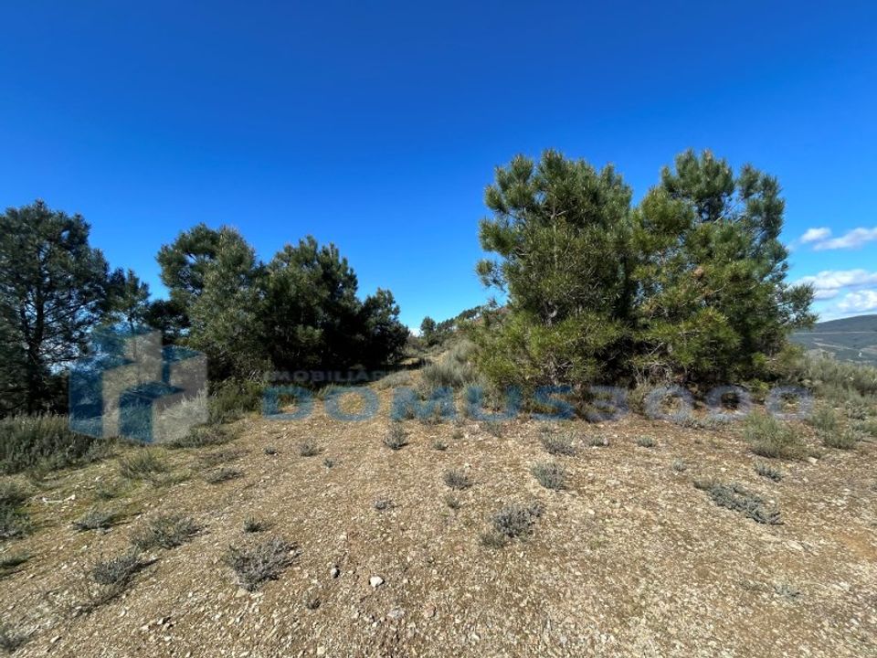 Terra a Sabrosa, Vila Real - foto 4