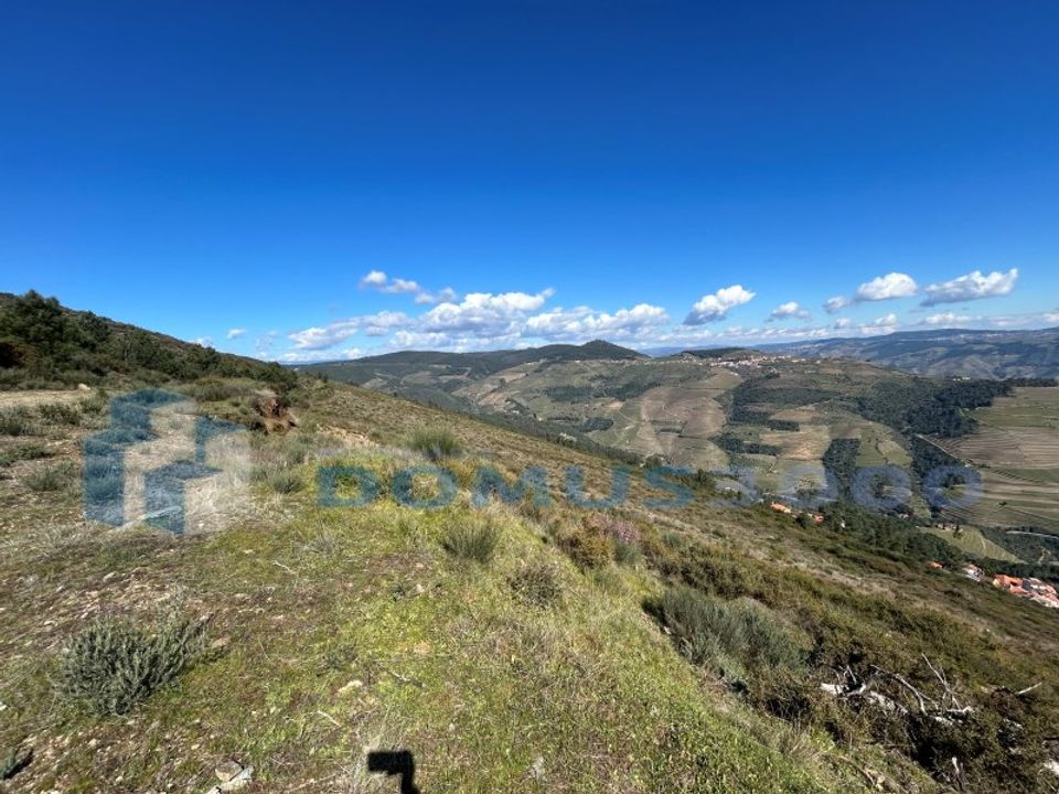 Terra a Sabrosa, Vila Real - foto 5