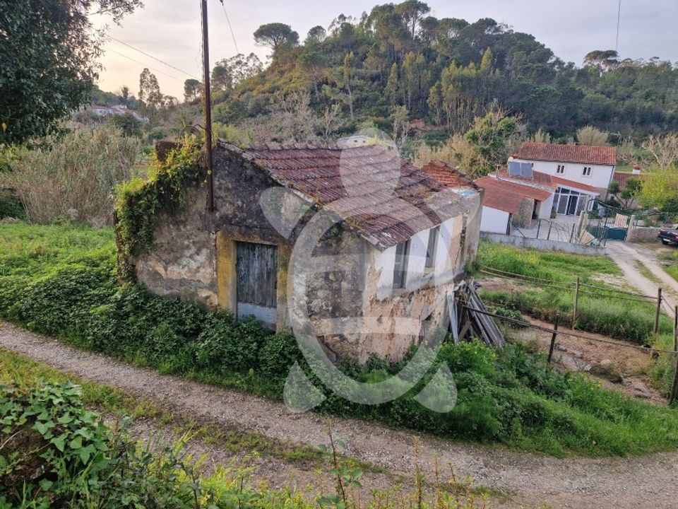 Villa in Condeixa-a-Nova, Coimbra - photo 5