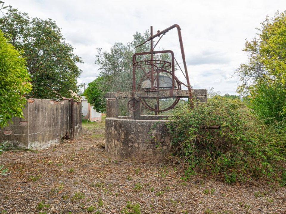 Helårsgrund i Tomar, Santarem - foto 4