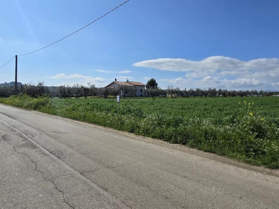 Terra em Collecorvino, Pescara - foto 3