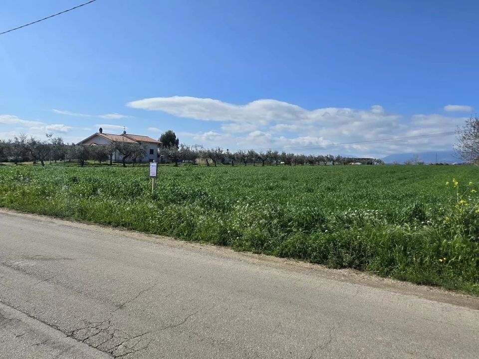 Terra em Collecorvino, Pescara - foto 4
