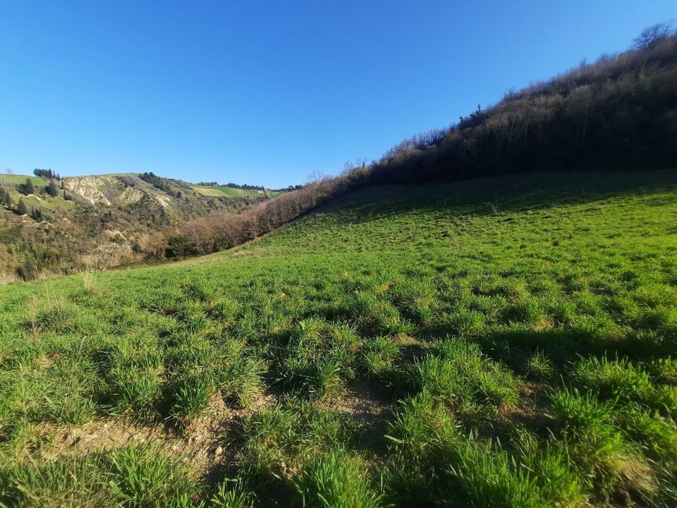 Villa i Ripatransone, Ascoli Piceno - foto 4
