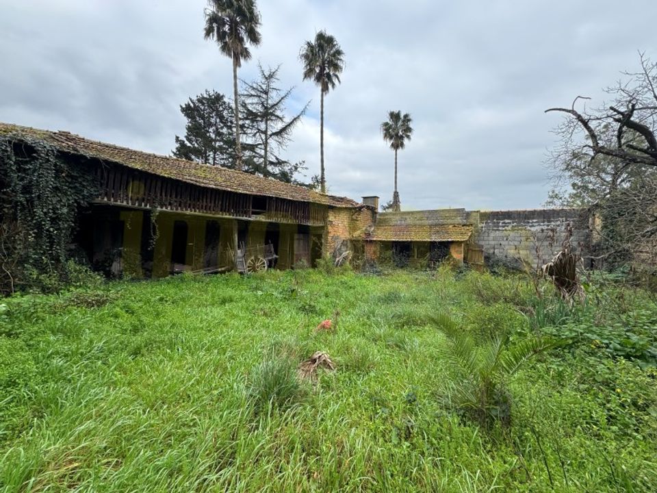 Villa i Barro, Aveiro - foto 2