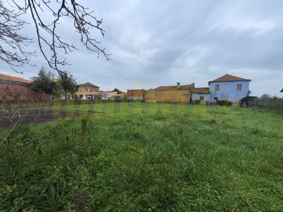Villa i Barro, Aveiro - foto 3