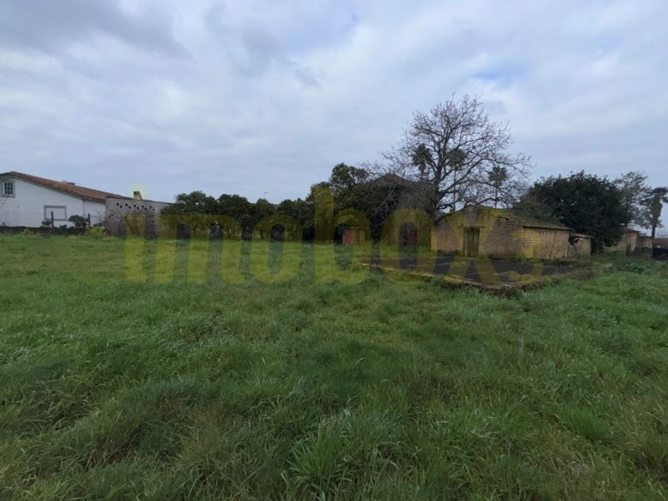 Villa i Barro, Aveiro - foto 4