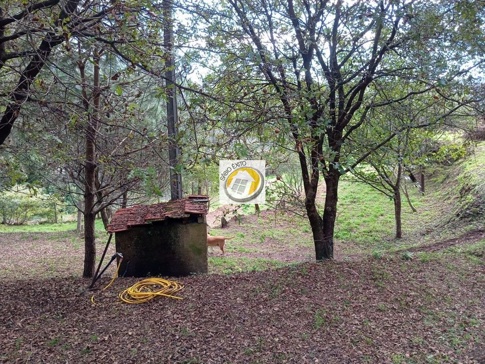 Helårsgrund i Oliveira de Azemeis, Aveiro - foto 2
