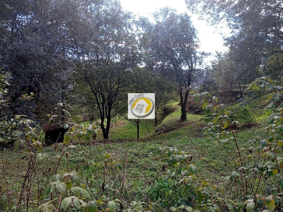 Helårsgrund i Oliveira de Azemeis, Aveiro - foto 3