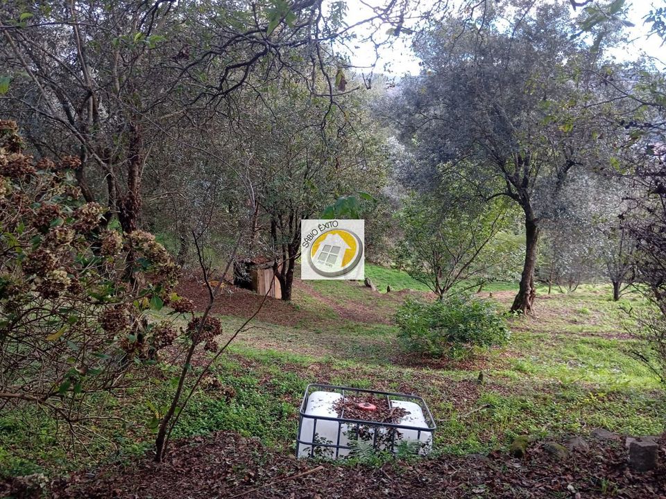 Helårsgrund i Oliveira de Azemeis, Aveiro - foto 4