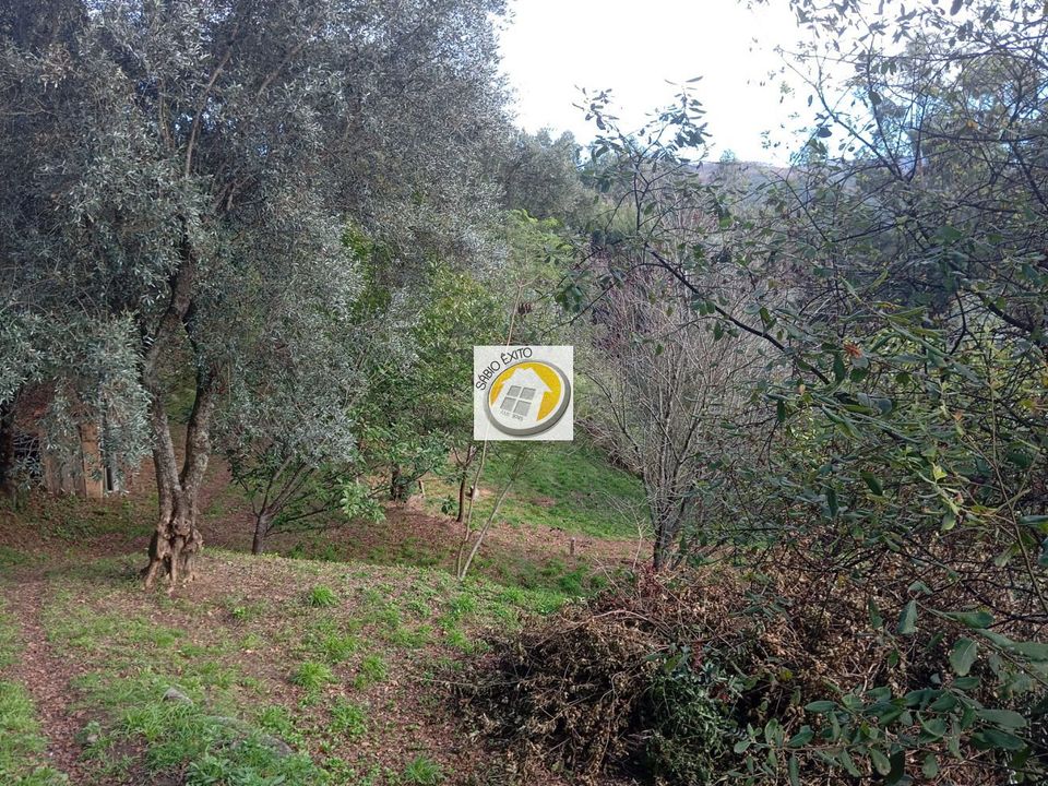 Helårsgrund i Oliveira de Azemeis, Aveiro - foto 5