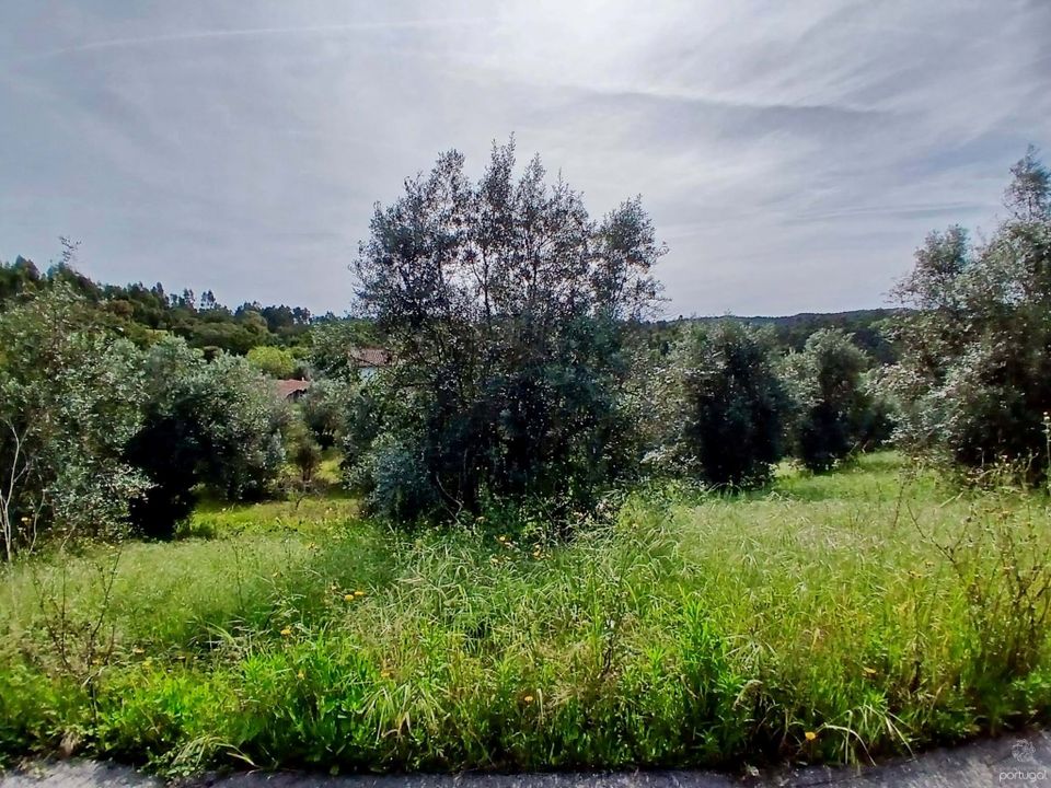 Helårsgrund i Tomar, Santarem - foto 3