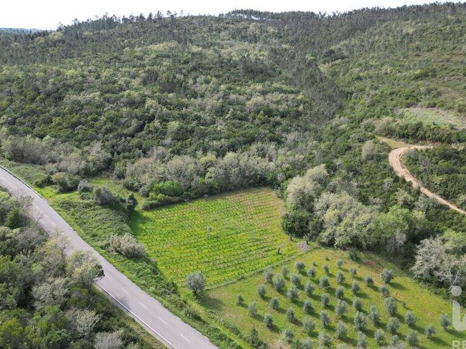 Terra a Penela, Coimbra - foto 2