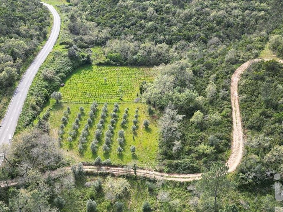 Terra a Penela, Coimbra - foto 4