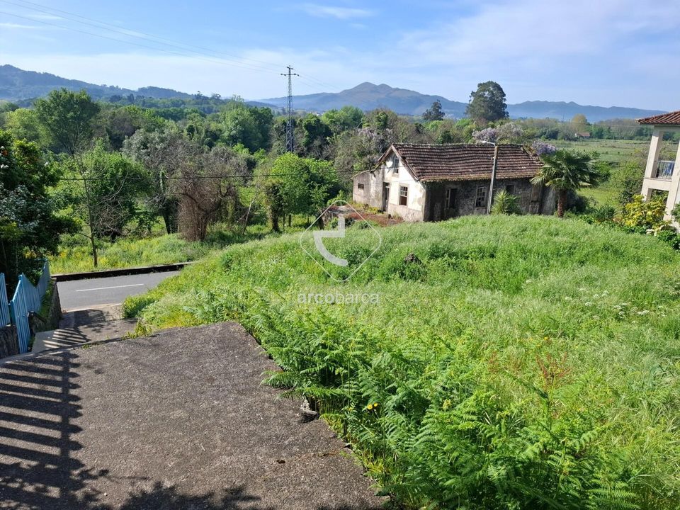 Terra a Ponte de Lima, Viana do Castelo - foto 3