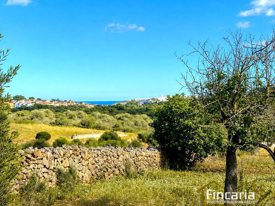 Landejendom i Cala Mandia, Mallorca - foto 1